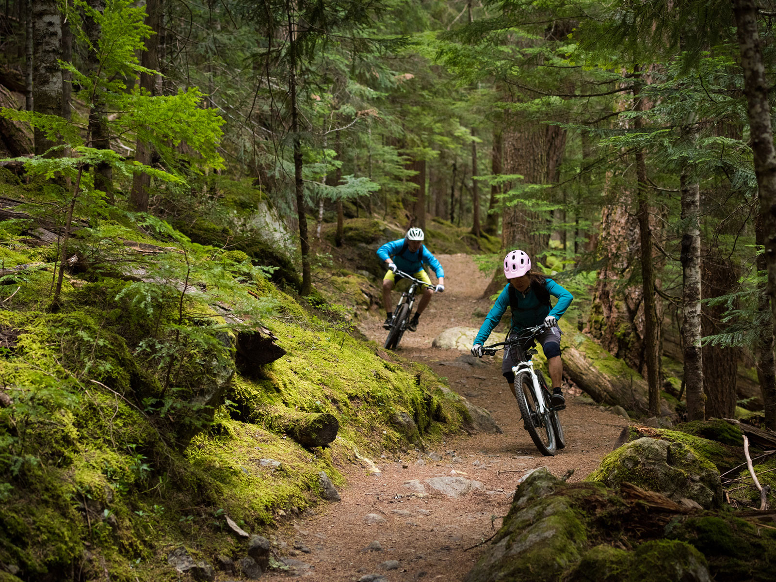 Mountain bikers riding through forest trails