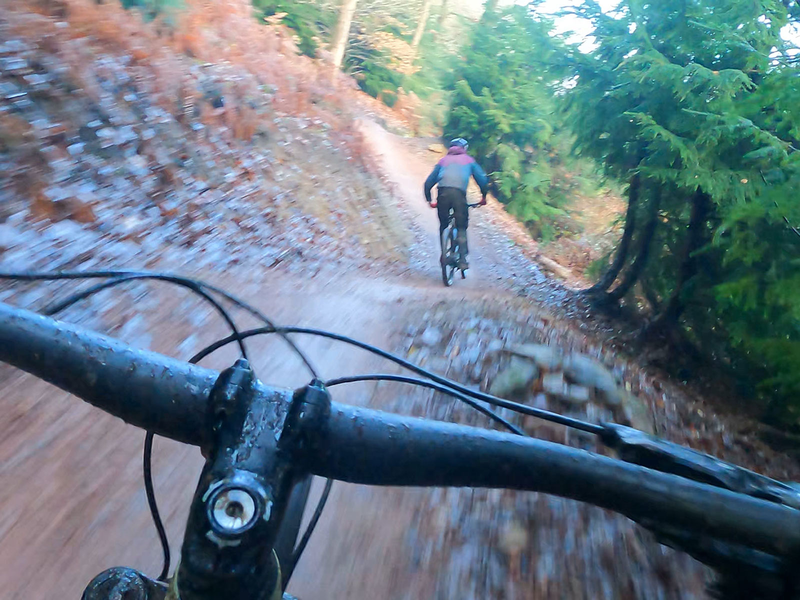 MTB coaching and guiding